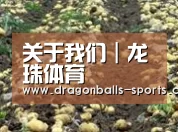 种植基地八(图1)