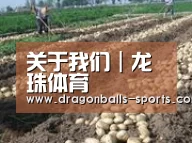种植基地七(图1)