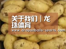 产品展示标题6