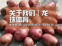 产品展示标题5(图1)