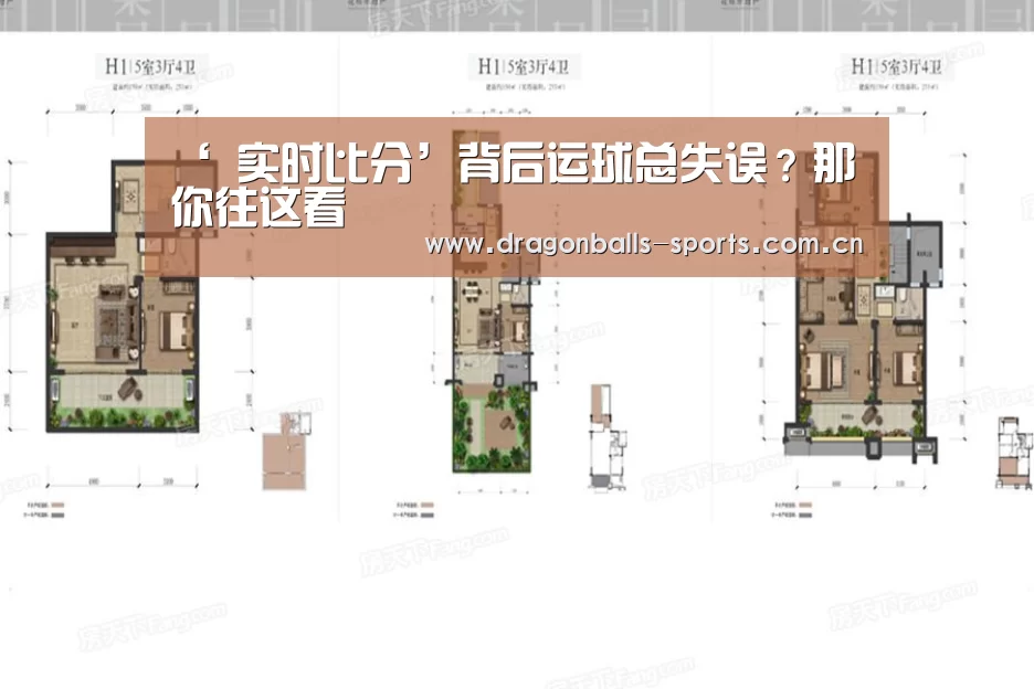 龙珠体育app比分直播
