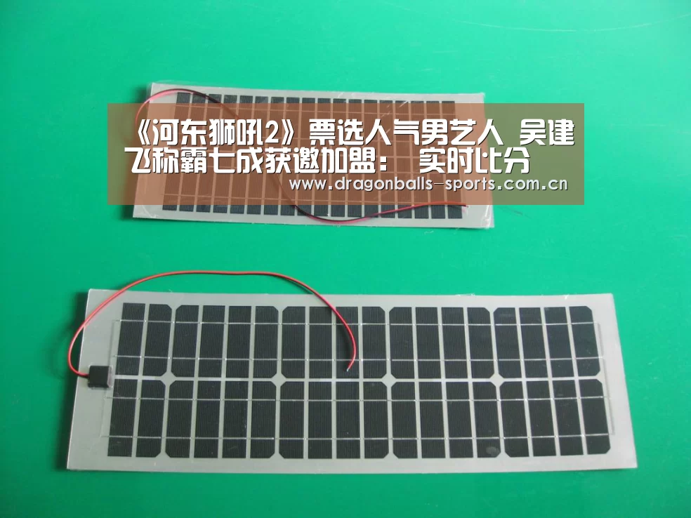 《河东狮吼2》票选人气男艺人 吴建飞称霸七成获邀加盟: 实时比分(图2) 实时比分