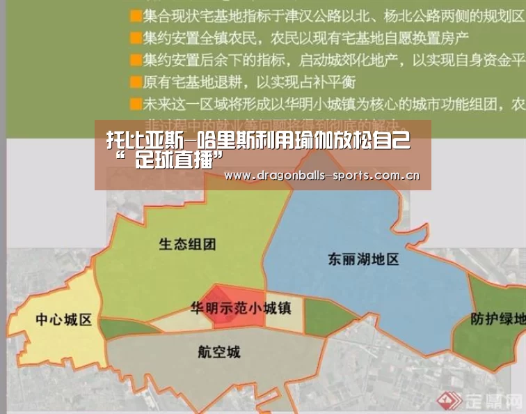  实时比分